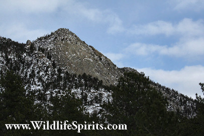Click Picture to send as an  E-PostCard 64k 406x271